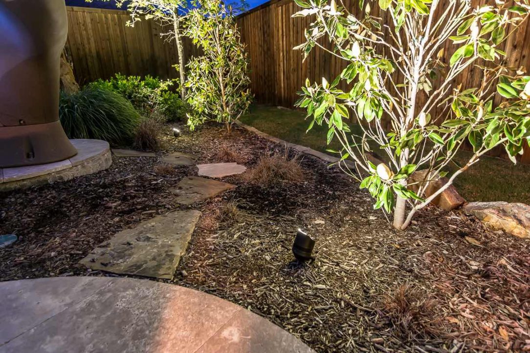 Landscape Lighting Pros Gallery Picture Small Tree