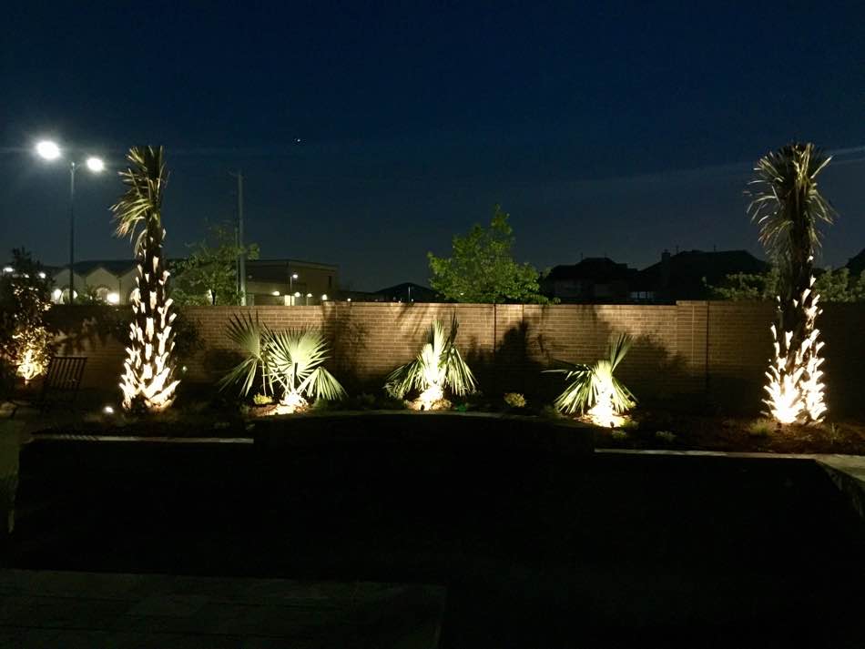 Palm Tree Lighting With Spotlights
