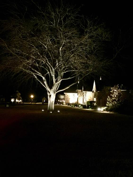 Tree Lighting With Spotlights